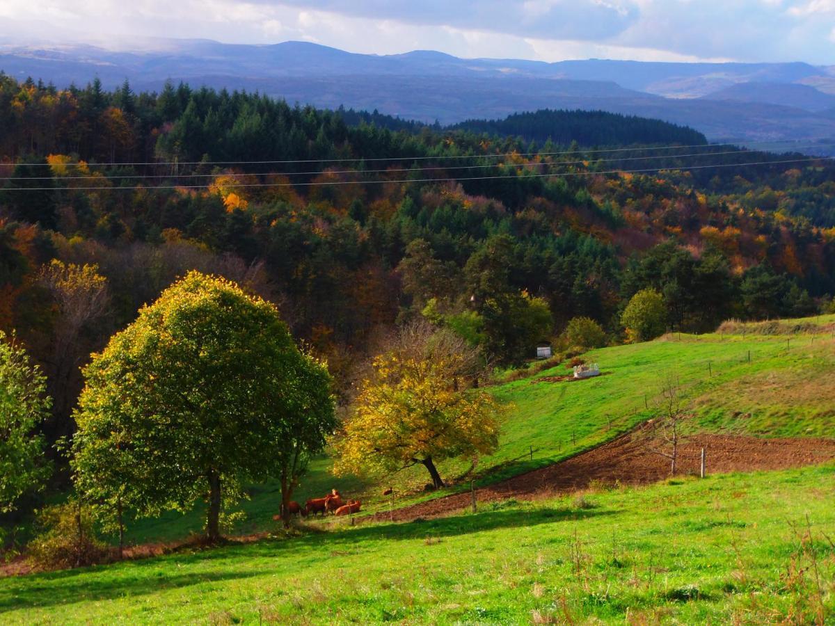 Le Vallon D'Armandine, Gite Ecologique Auvergne Saint-Hilaire  Exterior photo