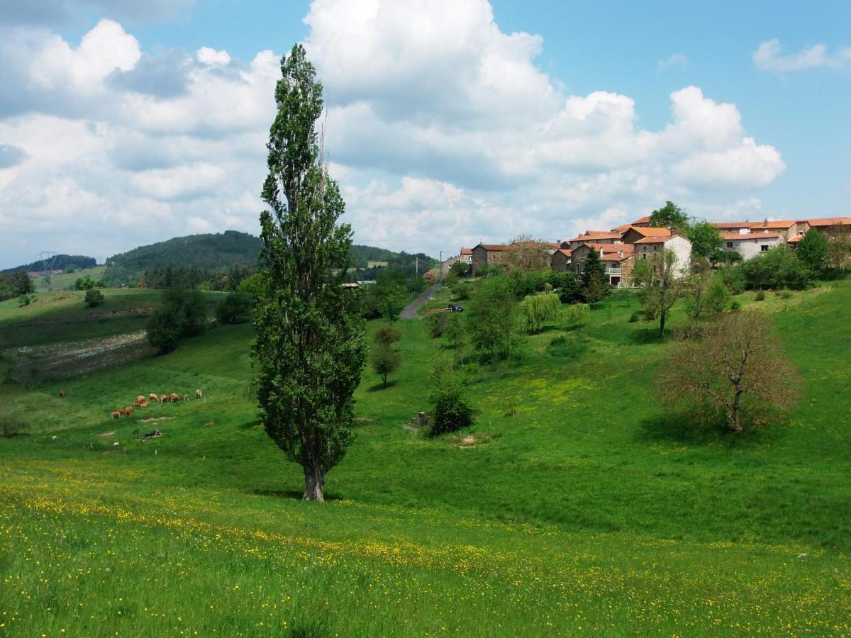 Le Vallon D'Armandine, Gite Ecologique Auvergne Saint-Hilaire  Exterior photo